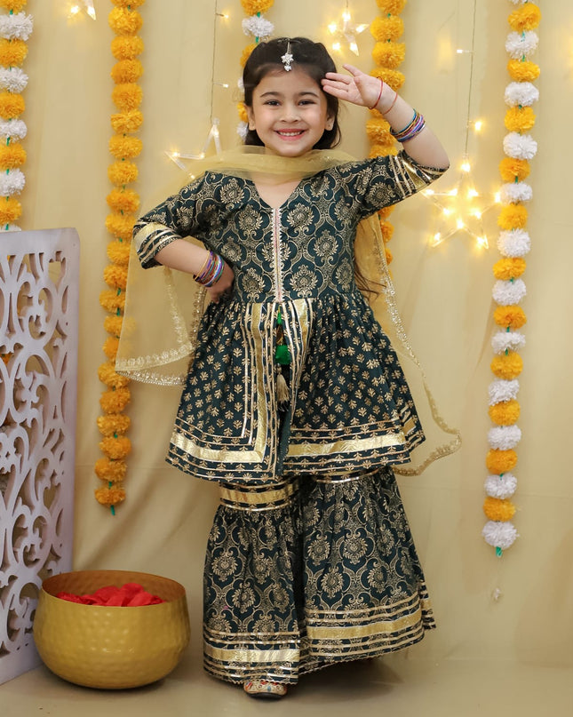 Beautiful Sharara Set