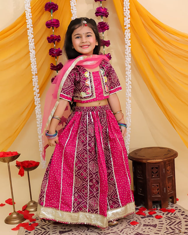 Pretty in Pink Lehenga Set
