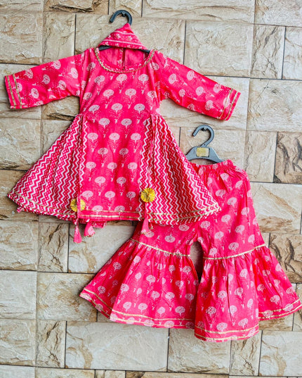 Beautiful Kurti with Sharara pant and scarf (Dupatta).