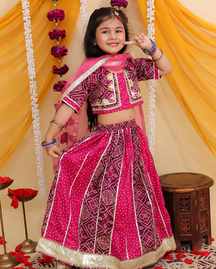 Pretty in Pink Lehenga Set
